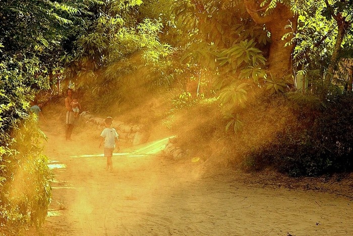 Khu du lịch sinh thái Nhà Vườn Triêm Tây ( Triêm Tây Garden ) - Hội An