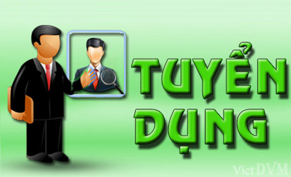 Công ty TNHH DV & TM Hoàng Phúc tuyển dụng (11/2017)